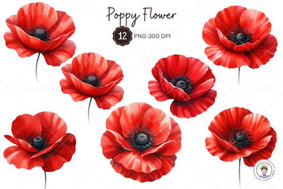 Download Watercolor Red Poppy Flower Clipart - Flower Collection