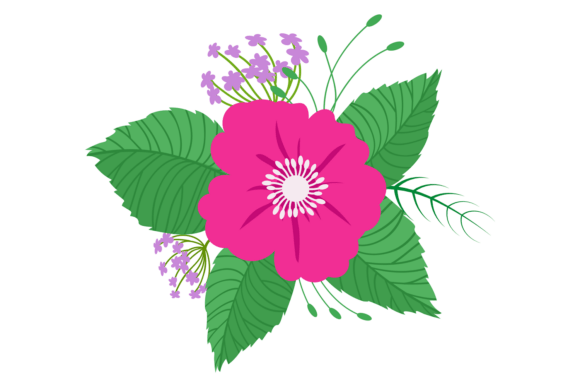 Download Pink Flower. Bright Exotic Blossom Decor - Flower Collection