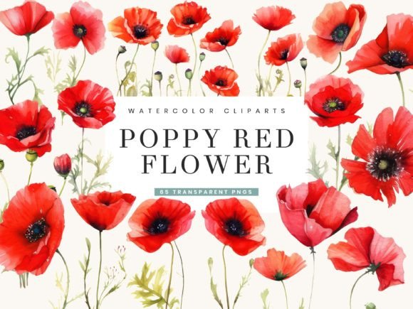 Download Poppy Red Flowers Clipart Bundle - Flower Collection
